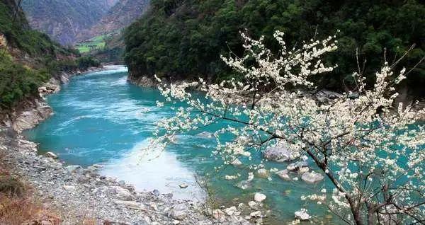 迷你西游